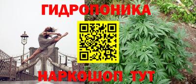 мяу мяу мука Абакан