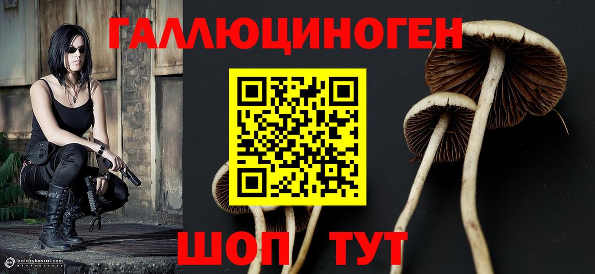 Алатырь  Галлюциногенные грибы Psilocybine cubensis  Псилоцибиновые грибы GOLDEN TEACHER  Вход с VPN 